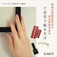 ポイントが一番高いTeMOT（テモ）