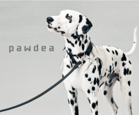 ポイントが一番高いpawdea（ポーディー）