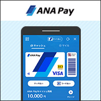 ポイントが一番高いANA Pay（アナペイ）利用登録完了（iOS）