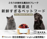 ポイントが一番高いXAXA（ザザ）