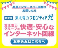 ポイントが一番高い東北電力フロンティア光