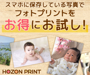 HOZON PRINT（写真10枚以上購入）のポイントサイト比較