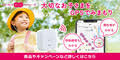 au HOME（子ども見守りGPS）あんしんウォッチャー LE（スマホ）のポイントサイト比較