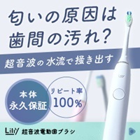 Lilly（リリー）超音波電動歯ブラシのポイントサイト比較