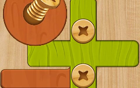 Crazy Screws: Wood Bolts&Nuts（プレイヤーレベル300到達）Androidのポイントサイト比較