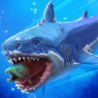 ポイントが一番高いサメサメ進化論（マッコウクジラをアンロック）Android