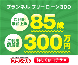 ポイントが一番高いプランネル フリーローン300