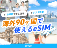 SkySiM（スカイシム）のポイントサイト比較