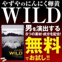 ポイントが一番高いにんにく卵黄WILD（やずや）無料モニター