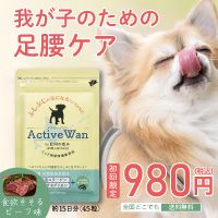 Active Wan（アクティブワン）のポイントサイト比較