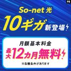 ポイントが一番高いSo-net光10ギガ（新設）