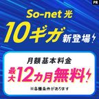 So-net光10ギガ（転用・事業者変更）のポイントサイト比較