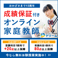 ポイントが一番高いオンライン家庭教師「ドリーム」