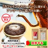 ポイントが一番高い六角カフェインレス（500円モニター）