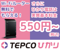 ポイントが一番高いTEPCOひかり（テプコ光）高速インターネット光回線