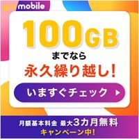 ポイントが一番高いy.u mobile（ワイユーモバイル）音声通話SIM専用