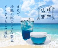 琉球蒼茶のポイントサイト比較