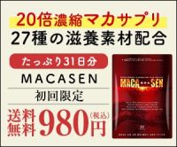 MACASEN（魔訶仙）のポイントサイト比較