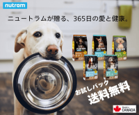 ポイントが一番高いニュートラム（カナダ産ドッグフード）