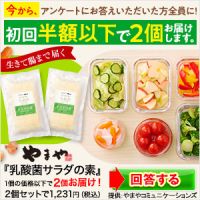 ポイントが一番高い乳酸菌サラダの素