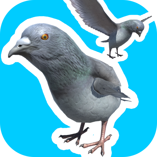 ポイントが一番高いハトジャンプ（Android）