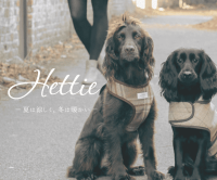 ポイントが一番高いHettie（ヘティー）