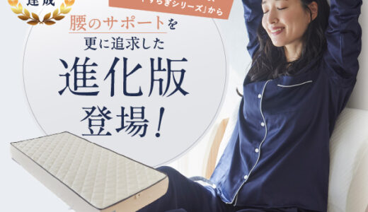 雲のやすらぎプレミアムマットレス（モデル3R）のポイントサイト比較