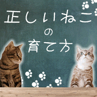 ポイントが一番高いネコの育て方（7日間無料登録/550円コース）
