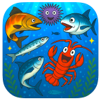 ポイントが一番高いドンとクイズ - 今日から使える魚の知識（iOS）