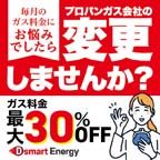 ポイントが一番高いDsmart Energy