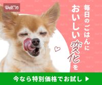 ポイントが一番高いWelMo（ウェルモ）トッピングフード