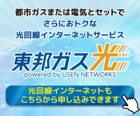 ポイントが一番高い東邦ガス光