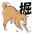 ポイントが一番高いワンだふる発見隊（iOS）