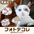 ポイントが一番高いフォトデコレ（スゴ得コンテンツ）初回31日間無料