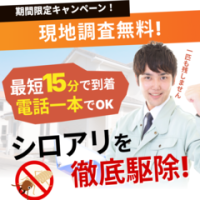 ポイントが一番高い街角害虫駆除相談所（シロアリ）