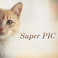 ポイントが一番高いSuper PIC（5,500円コース）