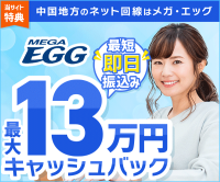 ポイントが一番高いメガ・エッグ（アウンカンパニー）