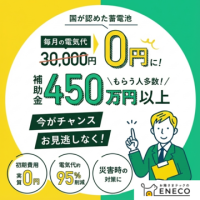 ポイントが一番高いえねこ（太陽光発電・蓄電池）