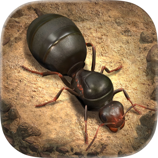 ポイントが一番高いザ・アンツ：アンダーグラウンド キングダム（女王アリレベル20に到達）iOS