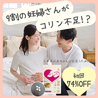 ポイントが一番高い酵母葉酸＋コリン