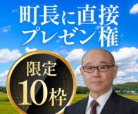 ポイントが一番高いTOKKEN（地域の特別な権利を集めたマーケット）町長にプレゼンできる権利