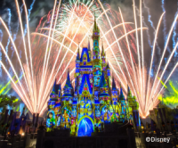 楽天トラベル（観光体験）ウォルトディズニー