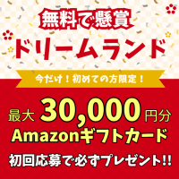 ポイントが一番高いソクギフ（無料で懸賞★ドリームランド）