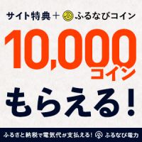 ポイントが一番高いふるなび電力