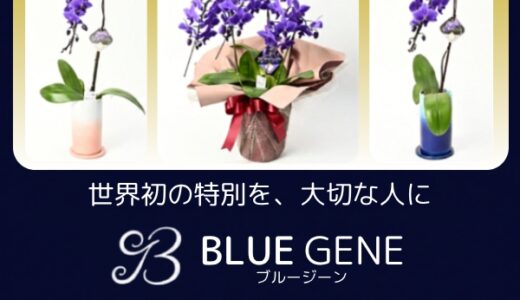 Blue Gene Store（ブルージーン）天然青色胡蝶蘭のポイントサイト比較