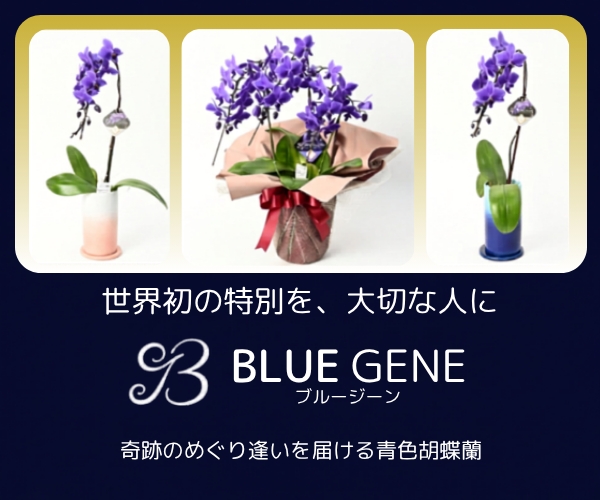 ポイントが一番高いBlue Gene Store（ブルージーン）天然青色胡蝶蘭