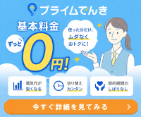 ポイントが一番高いプライムでんき