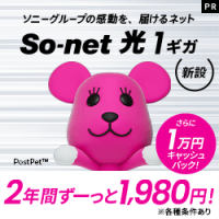 ポイントが一番高いSo-net光1ギガ（新設）