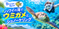 ブリーズハワイ（ハワイのマリンレジャー）